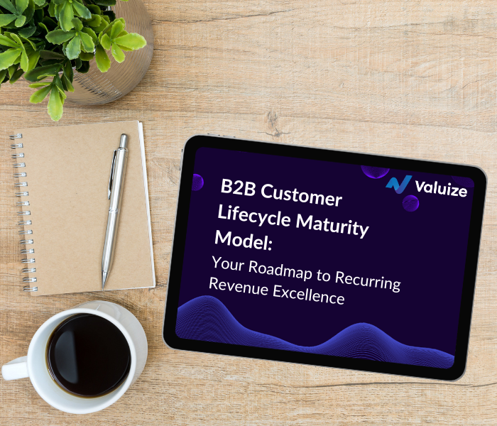 The B2B Customer Lifecycle Maturity Model